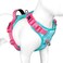 PHOEPET No Pull Dog Harness Unique Colors Reflective Adjustable Dog Vest with Soft Training Handle Metal Clips for Small Medium Large Dogs Mint Green Base Pink StrapsL