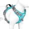 PHOEPET No Pull Dog Harness Unique Colors Reflective Adjustable Dog Vest with Soft Training Handle Metal Clips for Small Medium Large Dogs Mint Green Base Grey StrapsM