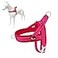 Plutus Pet No Pull Dog Harness with Breathable Mesh Padded Adjustable Reflective Escape Proof Dog Harness Quick Fit Dog Vest Harness for Small Medium Large DogsXL Pink
