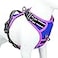 PHOEPET 2019 Upgraded No Pull Dog Harness Reflective Adjustable Vest with a Training Handle 2 Metal Leash Hooks 3 Snap Buckles 4 Slide BucklesL Royal Blue
