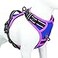 PHOEPET 2019 Upgraded No Pull Dog Harness Reflective Adjustable Vest with a Training Handle 2 Metal Leash Hooks 3 Snap Buckles 4 Slide BucklesXL Royal Blue