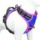 PHOEPET 2019 Upgraded No Pull Dog Harness Reflective Adjustable Vest with a Training Handle 2 Metal Leash Hooks 3 Snap Buckles 4 Slide BucklesM Royal Blue