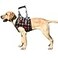 ROZKITCH Dog Lift Harness Grid Pet Chest Support Aid Veterinarian Approved Sling for Old K9 Help With Poor Stability Front Legs Disabled Joint Injury Elderly Arthritis ACL Rehabilitation Rehab