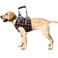 ROZKITCH Dog Lift Harness Grid Pet Chest Support Aid Veterinarian Approved Sling for Old K9 Help With Poor Stability Front Legs Disabled Joint Injury Elderly Arthritis ACL Rehabilitation Rehab