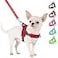 SlowTon No Pull Small Dog Harness and Leash Set Puppy Soft Vest Harness Neck Chest Adjustable Reflective Lightweight Harness AntiTwist Pet Lead Combo for Small Medium Dogs RFront ClipXS