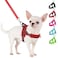 SlowTon No Pull Small Dog Harness and Leash Set Puppy Soft Vest Harness Neck Chest Adjustable Reflective Lightweight Harness AntiTwist Pet Lead Combo for Small Medium Dogs RFront ClipXS