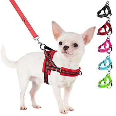 SlowTon No Pull Small Dog Harness and Leash Set Puppy Soft Vest Harness Neck Chest Adjustable Reflective Lightweight Harness AntiTwist Pet Lead Combo for Small Medium Dogs RFront ClipXXS