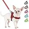 SlowTon No Pull Small Dog Harness and Leash Set Puppy Soft Vest Harness Neck Chest Adjustable Reflective Lightweight Harness AntiTwist Pet Lead Combo for Small Medium Dogs RFront ClipS