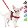 SlowTon No Pull Small Dog Harness and Leash Set Puppy Soft Vest Harness Neck Chest Adjustable Reflective Lightweight Harness AntiTwist Pet Lead Combo for Small Medium Dogs RFront ClipS