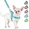 SlowTon No Pull Small Dog Harness and Leash Set Puppy Soft Vest Harness Neck Chest Adjustable Reflective Lightweight Harness AntiTwist Pet Lead Combo for Small Medium DogsBLFront ClipS