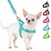 SlowTon No Pull Small Dog Harness and Leash Set Puppy Soft Vest Harness Neck Chest Adjustable Reflective Lightweight Harness AntiTwist Pet Lead Combo for Small Medium DogsBLFront ClipS