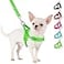 SlowTon No Pull Small Dog Harness and Leash Set Puppy Soft Vest Harness Neck Chest Adjustable Reflective Lightweight Harness AntiTwist Pet Lead Combo for Small Medium Dogs GFront ClipXXS