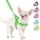 SlowTon No Pull Small Dog Harness and Leash Set Puppy Soft Vest Harness Neck Chest Adjustable Reflective Lightweight Harness AntiTwist Pet Lead Combo for Small Medium Dogs GFront ClipXXS