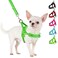 SlowTon No Pull Small Dog Harness and Leash Set Puppy Soft Vest Harness Neck Chest Adjustable Reflective Lightweight Harness AntiTwist Pet Lead Combo for Small Medium Dogs GFront ClipXXS