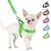 SlowTon No Pull Small Dog Harness and Leash Set Puppy Soft Vest Harness Neck Chest Adjustable Reflective Lightweight AntiTwist Pet Lead Combo for Small Medium Dogs G Front ClipS