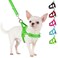 SlowTon No Pull Small Dog Harness and Leash Set Puppy Soft Vest Harness Neck Chest Adjustable Reflective Lightweight AntiTwist Pet Lead Combo for Small Medium Dogs G Front ClipS