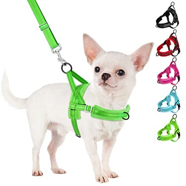 SlowTon No Pull Small Dog Harness and Leash Set Puppy Soft Vest Harness Neck Chest Adjustable Reflective Lightweight AntiTwist Pet Lead Combo for Small Medium Dogs G Front ClipS