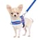 SlowTon No Pull Small Dog Harness and Leash Set Puppy Soft Vest Harness Neck Chest Adjustable Reflective Lightweight Harness AntiTwist Pet Lead Combo for Small Medium Dogs DBFront Clip XXS