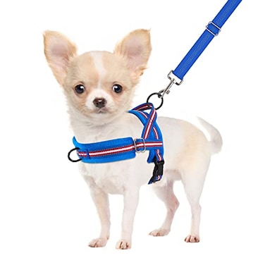 SlowTon No Pull Small Dog Harness and Leash Set Puppy Soft Vest Harness Neck Chest Adjustable Reflective Lightweight Harness AntiTwist Pet Lead Combo for Small Medium Dogs DBFront Clip XXS