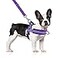 SlowTon No Pull Small Dog Harness and Leash Set Puppy Soft Vest Harness Neck Chest Adjustable Reflective Lightweight AntiTwist Pet Lead Combo for Small Medium Dogs PUFront Clip M
