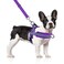 SlowTon No Pull Small Dog Harness and Leash Set Puppy Soft Vest Harness Neck Chest Adjustable Reflective Lightweight AntiTwist Pet Lead Combo for Small Medium Dogs PUFront Clip M