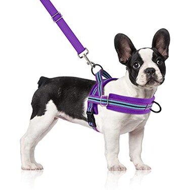 SlowTon No Pull Small Dog Harness and Leash Set Puppy Soft Vest Harness Neck Chest Adjustable Reflective Lightweight AntiTwist Pet Lead Combo for Small Medium Dogs PUFront Clip M