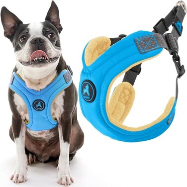 Gooby Escape Free Memory Foam Harness Blue Medium No Pull Stepin Small Dog Harness with Four Point Adjustment Perfect on The Go Dog Harness for Medium Dogs No Pull and Small Dogs