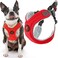 Gooby Escape Free Memory Foam Harness Red Small No Pull Stepin Dog Harness with Four Point Adjustment for Small to Medium Dogs