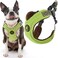 Gooby Medium Green Memory Foam Escape Free Harness with 4Point Adjustment for Small Dogs