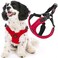 Gooby Dog Harness Sporty Large Red Escape Free Sport Harness with Patented Neoprene Technology 4Point Adjustment No Choke Perfect for Small Dogs No Pull