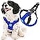 Gooby Escape Free Sport Harness Blue Large No Choke Stepin Patented Neoprene Small Dog Harness with FourPoint Adjustment Perfect on The Go Dog Harness for Medium Dogs No Pull and Small Dogs