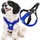 Gooby Escape Free Sport Harness Blue Large No Choke Stepin Patented Neoprene Small Dog Harness with FourPoint Adjustment Perfect on The Go Dog Harness for Medium Dogs No Pull and Small Dogs