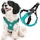 Gooby Escape Free Sport Harness Turquoise Medium No Choke StepIn Patented Neoprene Small Dog Harness FourPoint Adjustment Perfect on the Go Dog Harness for Medium Dogs No Pull and Small Dogs
