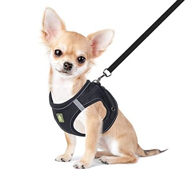 FEimaX Dog Harness and Leash Set No Pull Breathable Soft Mesh Puppy Vest Harness Reflective Adjustable Pet Harnesses for Small Medium Dogs and Cats Outdoor Easy Control for Walking