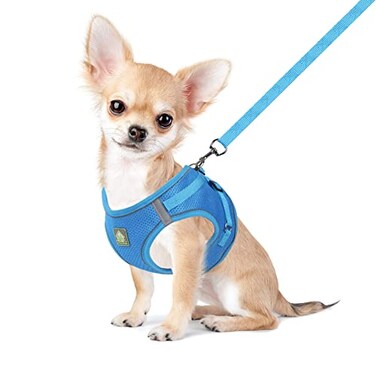 FEimaX Dog Harness and Leash Set No Pull Breathable Soft Mesh Puppy Vest Harness Reflective Adjustable Pet Harnesses for Small Medium Dogs and Cats Outdoor Easy Control for Walking