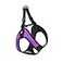 Gooby Escape Free Easy Fit Harness Purple Small No Pull Stepin Patented Dog Harness with Quick Release Buckle for Small to Medium Dogs