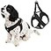 Gooby Escape Free Easy Fit Harness Black XSmall No Pull Stepin Patented Small Dog with Quick Release Buckle Perfect On The Go for Dogs or Medium 04602BLKXS