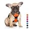 BARKBAY No Pull Dog Harness Large Step in Reflective Dog Harness with Front Clip and Easy Control Handle for Walking Training RunningOrangeS