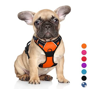 BARKBAY No Pull Dog Harness Large Step in Reflective Dog Harness with Front Clip and Easy Control Handle for Walking Training RunningOrangeS