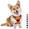 BARKBAY No Pull Dog Harness Large Step in Reflective Dog Harness with Front Clip and Easy Control Handle for Walking Training RunningOrangeM