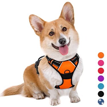 BARKBAY No Pull Dog Harness Large Step in Reflective Dog Harness with Front Clip and Easy Control Handle for Walking Training RunningOrangeM