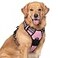 rabbitgoo Dog Harness No Pull with 2 Leash Clips Adjustable Soft Padded Reflective Oxford No Choke Pet Vest with Easy Control Handle for Large Dogs Pink XL