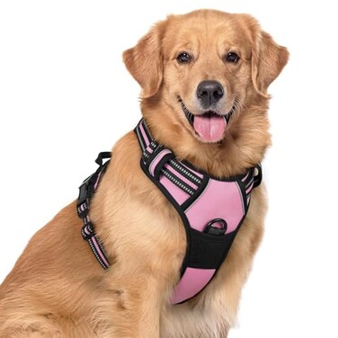 rabbitgoo Dog Harness No Pull with 2 Leash Clips Adjustable Soft Padded Reflective Oxford No Choke Pet Vest with Easy Control Handle for Large Dogs Pink XL