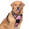 rabbitgoo Dog Harness No Pull with 2 Leash Clips Adjustable Soft Padded Reflective Oxford No Choke Pet Vest with Easy Control Handle for Large Dogs Pink XL