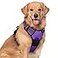 rabbitgoo Dog Harness No Pull with 2 Leash Clips Adjustable Soft Padded Reflective Oxford No Choke Pet Vest with Easy Control Handle for Large Dogs Purple XL