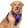 rabbitgoo Dog Harness No Pull with 2 Leash Clips Adjustable Soft Padded Reflective Oxford No Choke Pet Vest with Easy Control Handle for Large Dogs Purple XL