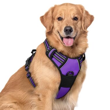 rabbitgoo Dog Harness No Pull with 2 Leash Clips Adjustable Soft Padded Reflective Oxford No Choke Pet Vest with Easy Control Handle for Large Dogs Purple XL