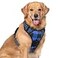 rabbitgoo Dog Harness No Pull with 2 Leash Clips Adjustable Soft Padded Reflective Oxford No Choke Pet Vest with Easy Control Handle for Large Dogs Blue Plaid XL