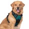 rabbitgoo Dog Harness No Pull with 2 Leash Clips Adjustable Soft Padded Reflective Oxford No Choke Pet Vest with Easy Control Handle for Large Dogs Blue Coral XL
