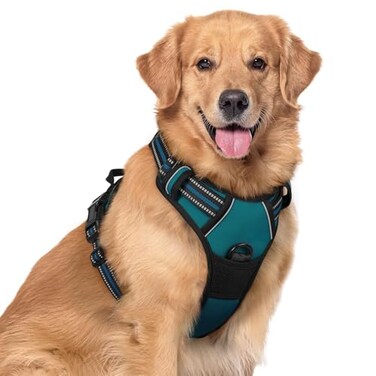 rabbitgoo Dog Harness No Pull with 2 Leash Clips Adjustable Soft Padded Reflective Oxford No Choke Pet Vest with Easy Control Handle for Large Dogs Blue Coral XL